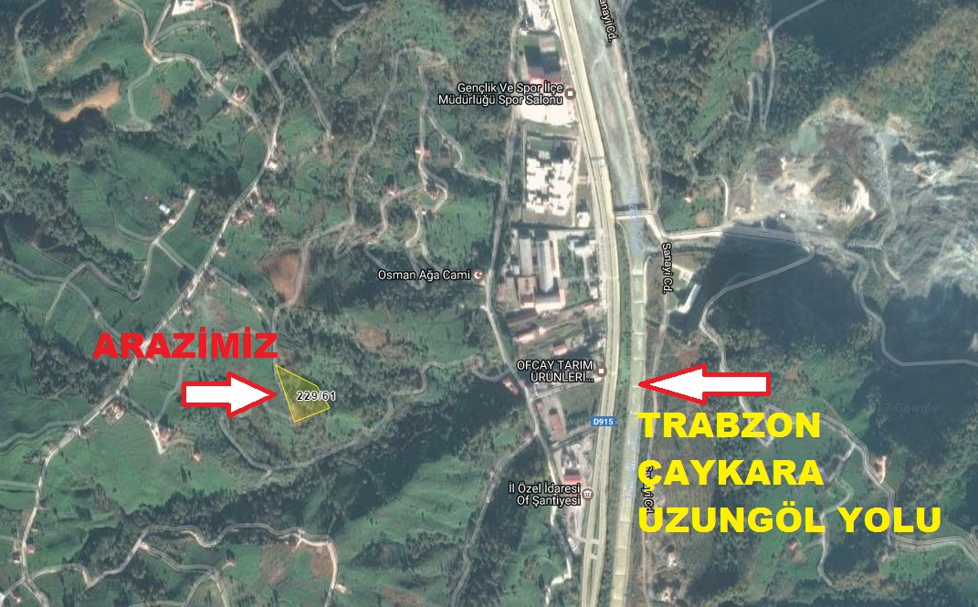 Satılık VERİMLİ ARAZİ, Trabzon / OF