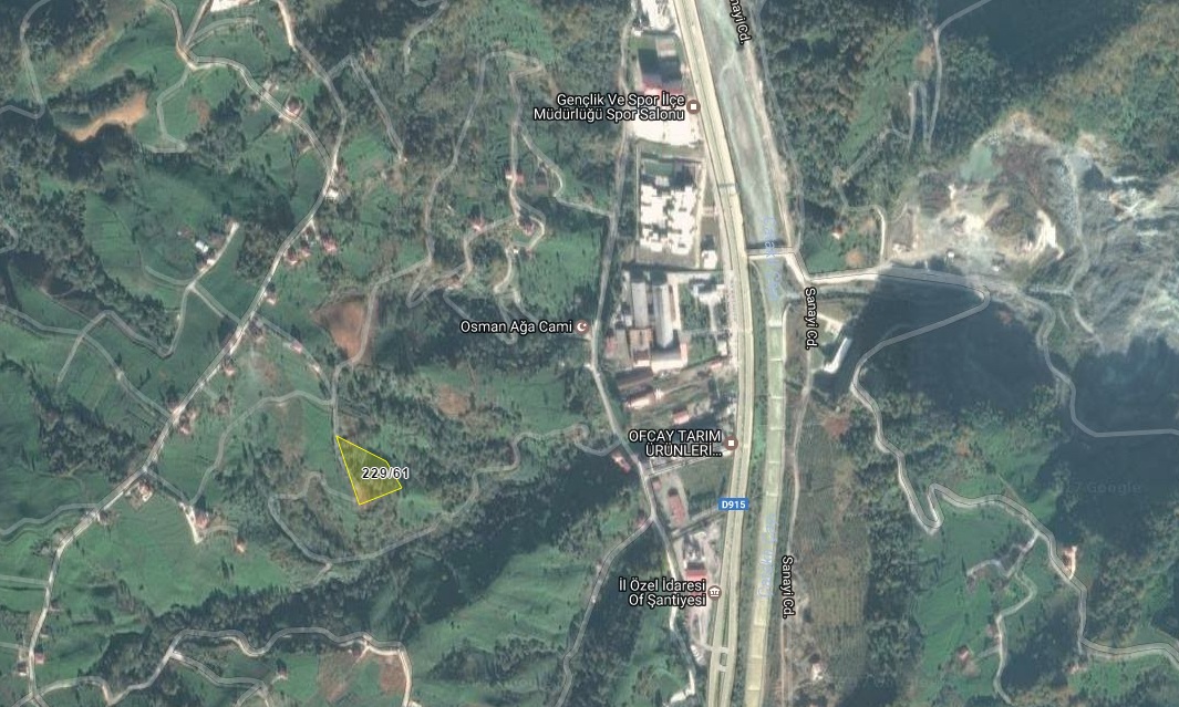 Satılık VERİMLİ ARAZİ, Trabzon / OF
