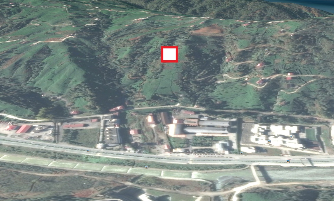 Satılık VERİMLİ ARAZİ, Trabzon / OF