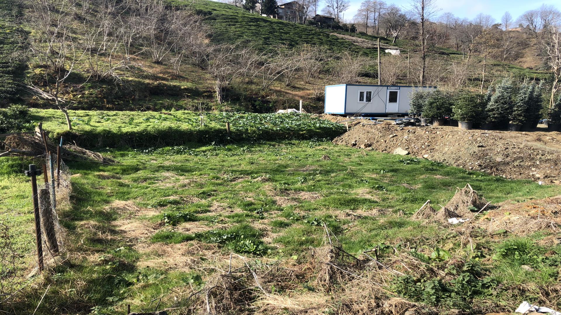 Satılık Trabzon / OF / DUMLUSU
