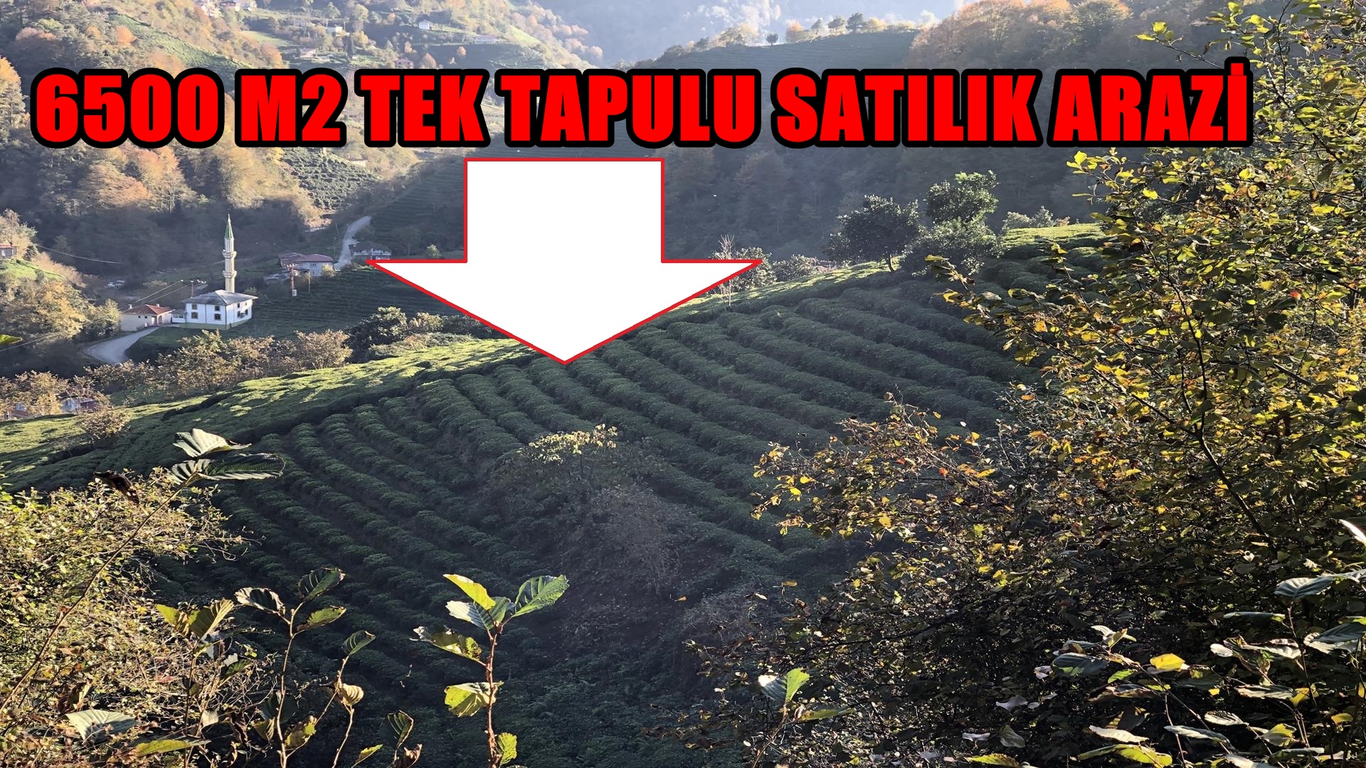 Satılık Trabzon / OF / YAZLIK MAHALLESİ