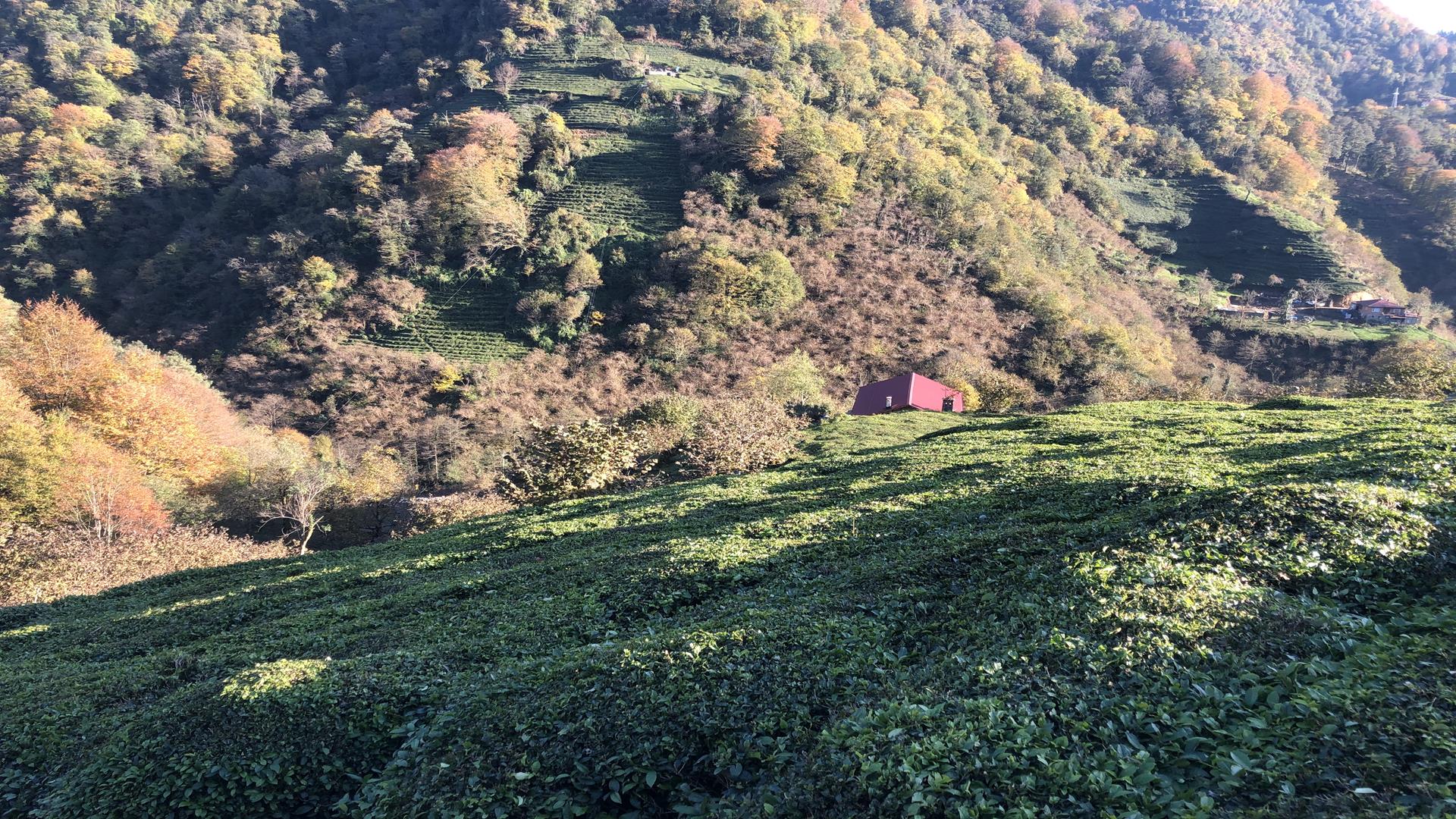 Satılık Trabzon / OF / YAZLIK MAHALLESİ