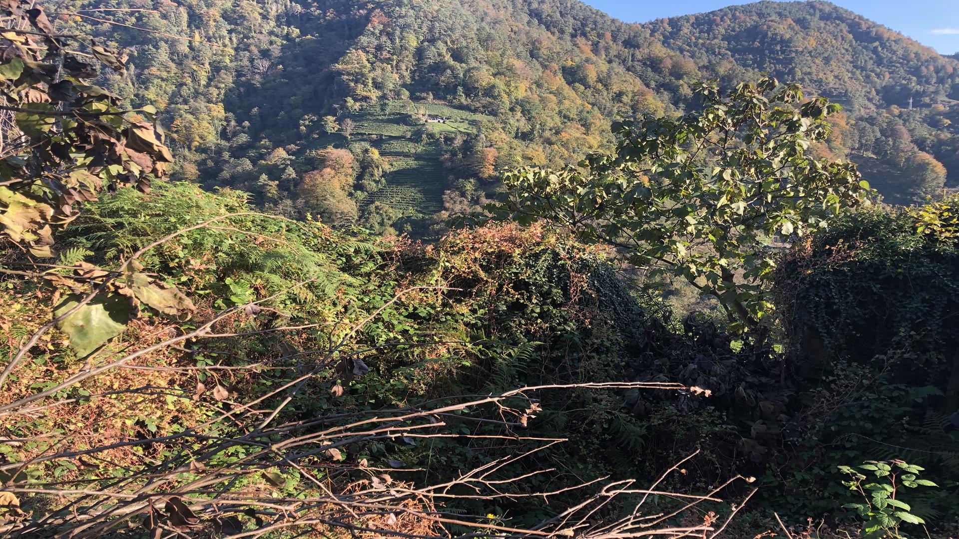 Satılık Trabzon / OF / YAZLIK MAHALLESİ