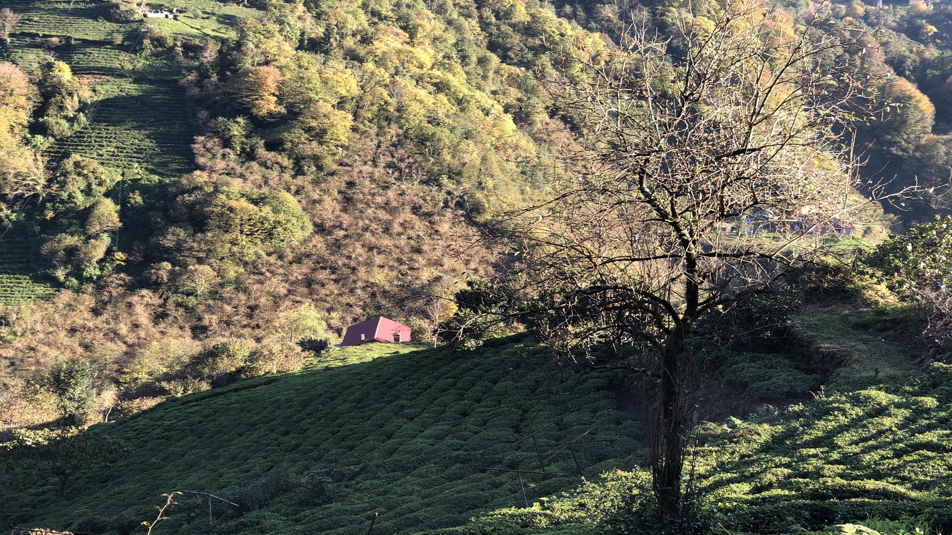 Satılık Trabzon / OF / YAZLIK MAHALLESİ