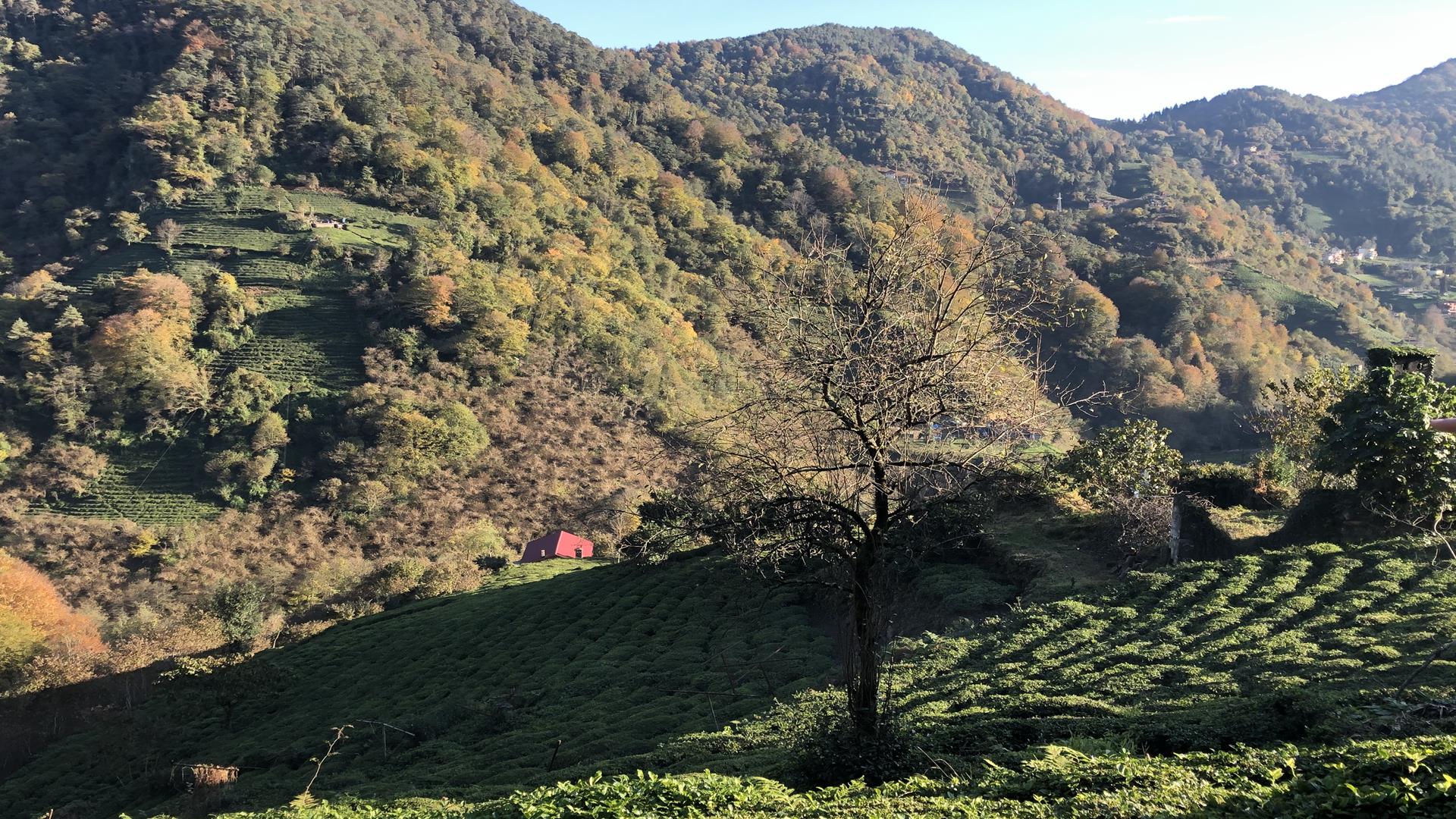 Satılık Trabzon / OF / YAZLIK MAHALLESİ