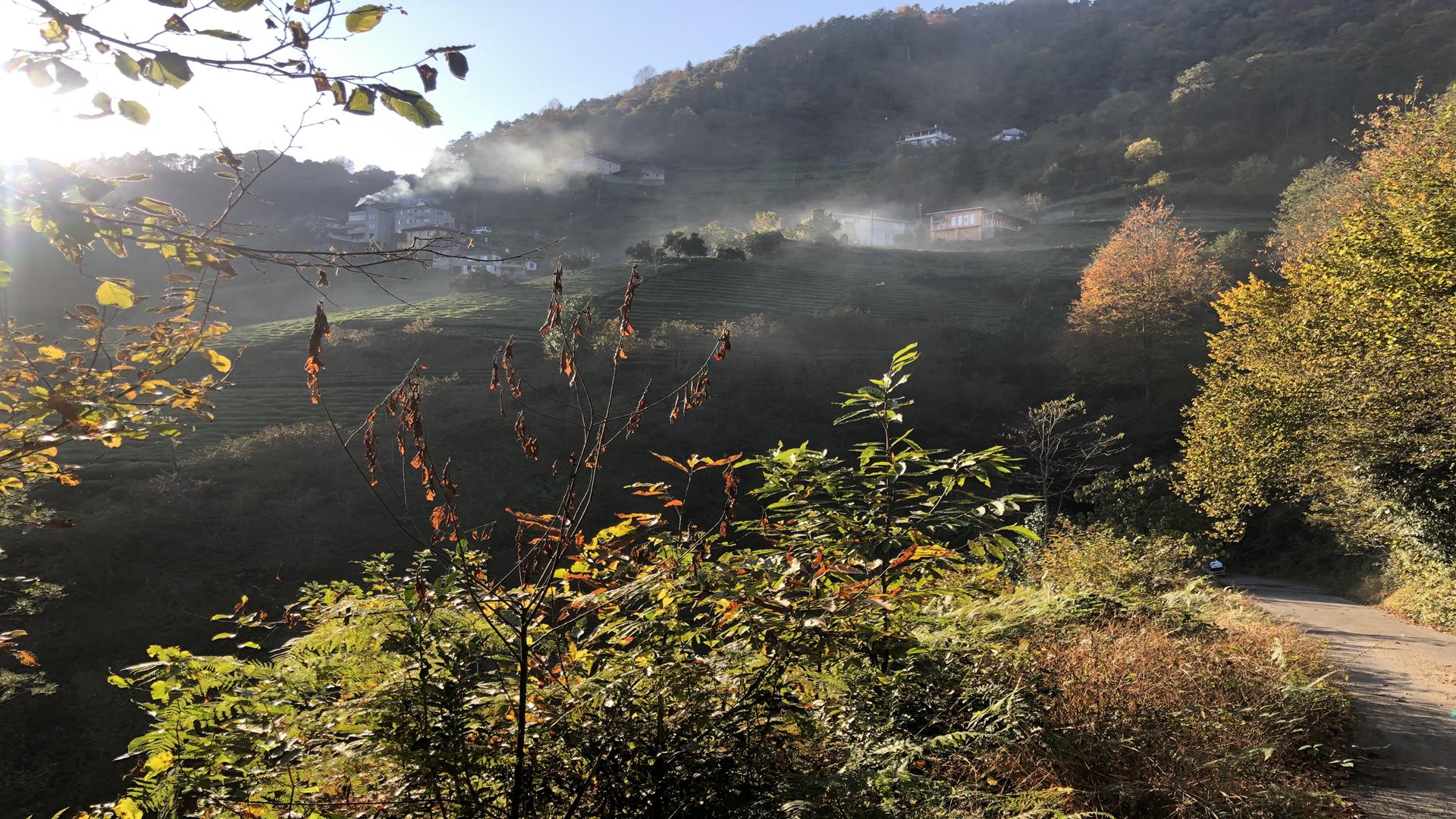 Satılık Trabzon / OF / YAZLIK MAHALLESİ