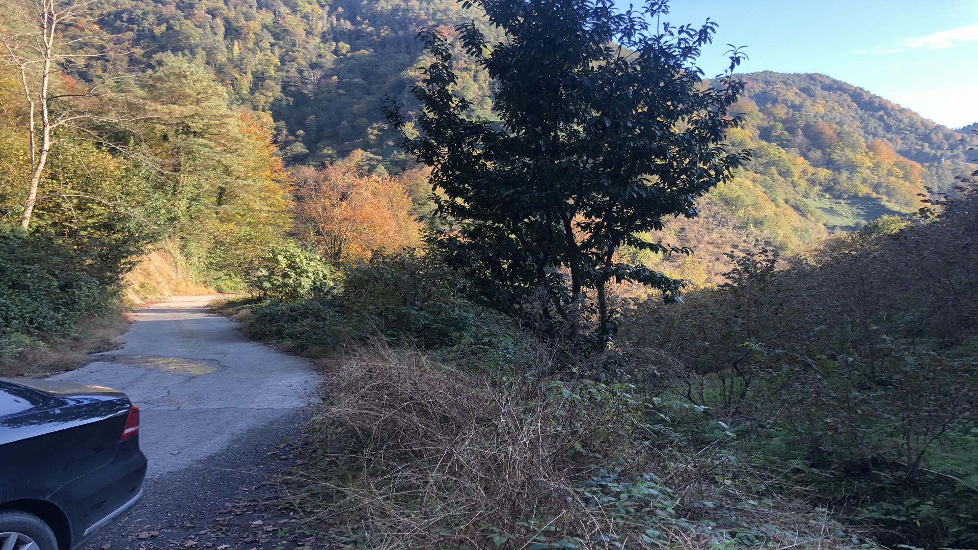 Satılık Trabzon / OF / YAZLIK MAHALLESİ