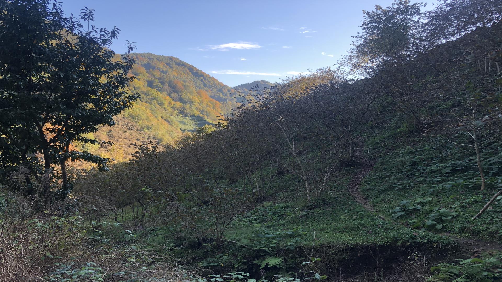 Satılık Trabzon / OF / YAZLIK MAHALLESİ