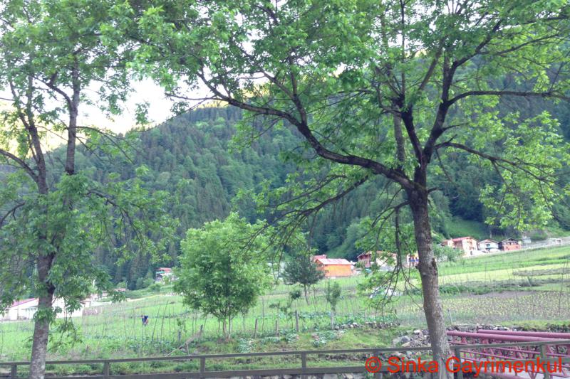 Satılık Trabzon / MERKEZ