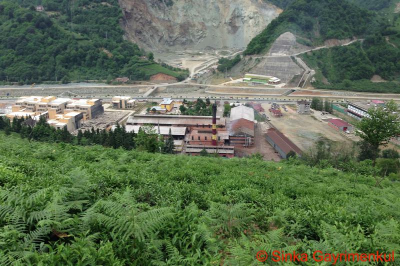 Satılık VERİMLİ ARAZİ, Trabzon / MERKEZ MAH