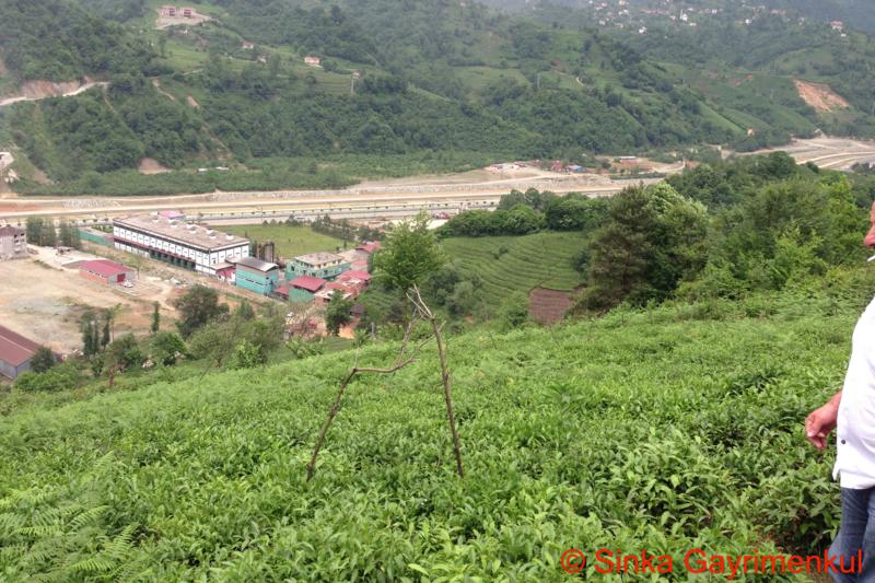 Satılık VERİMLİ ARAZİ, Trabzon / MERKEZ MAH