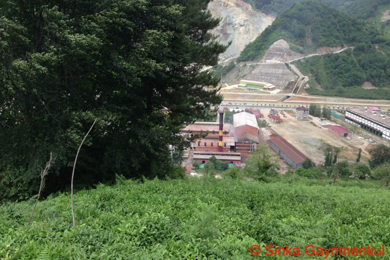 Satılık VERİMLİ ARAZİ, Trabzon / MERKEZ MAH