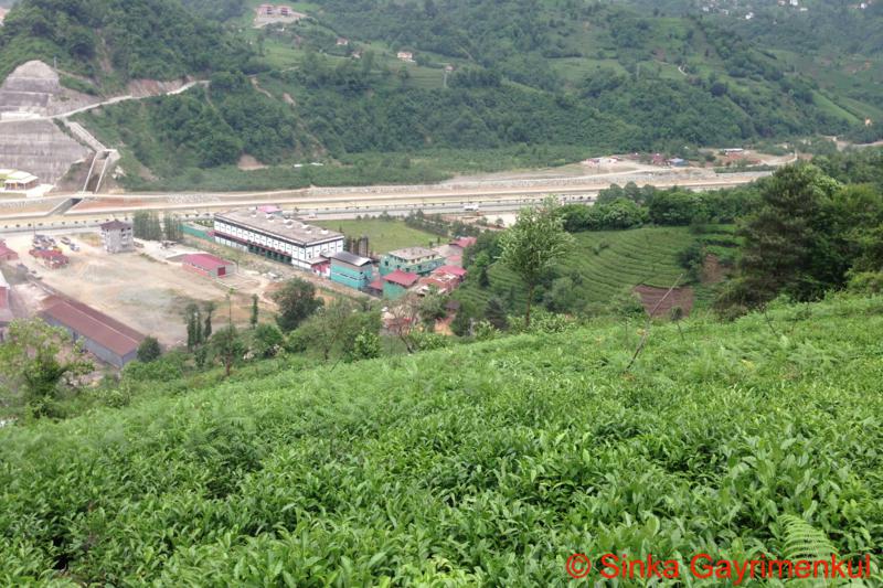 Satılık VERİMLİ ARAZİ, Trabzon / MERKEZ MAH