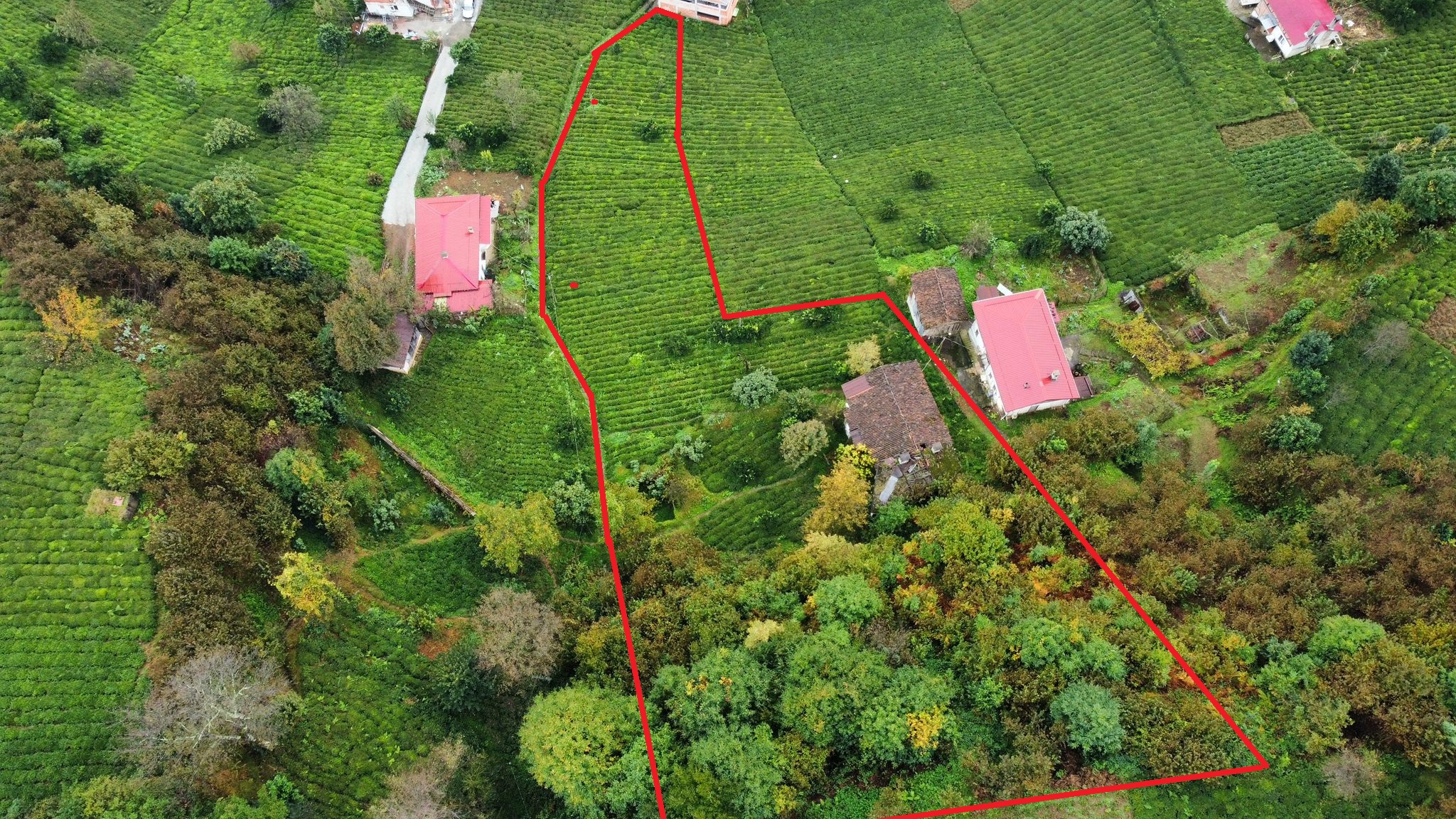Satılık Trabzon / OF / YAZLIK KÖYÜ