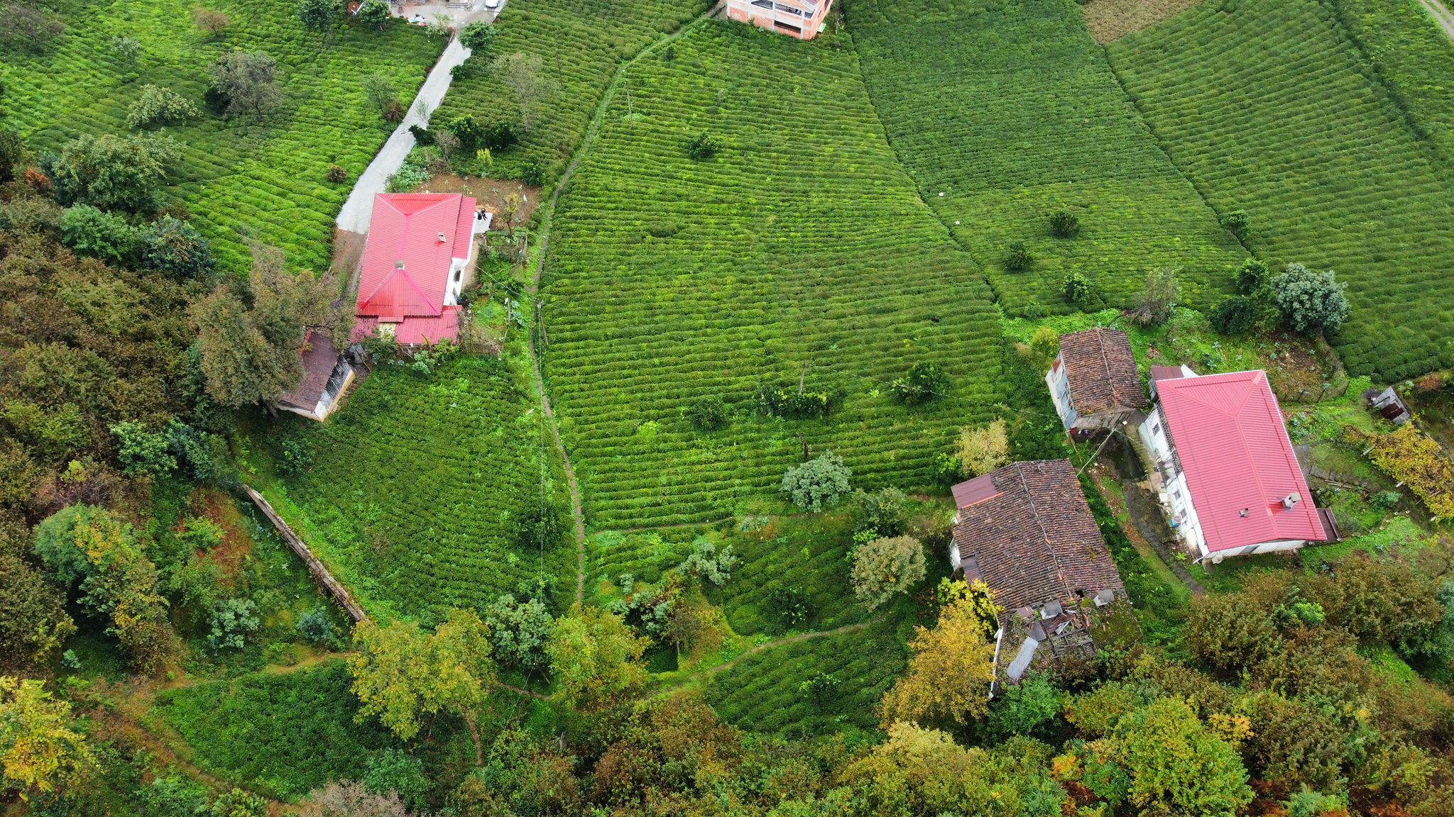 Satılık Trabzon / OF / YAZLIK KÖYÜ