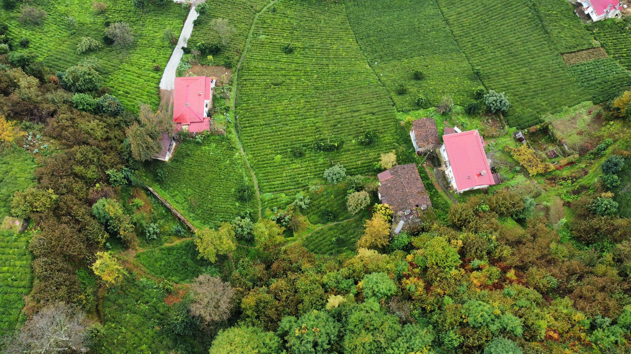 Satılık Trabzon / OF / YAZLIK KÖYÜ