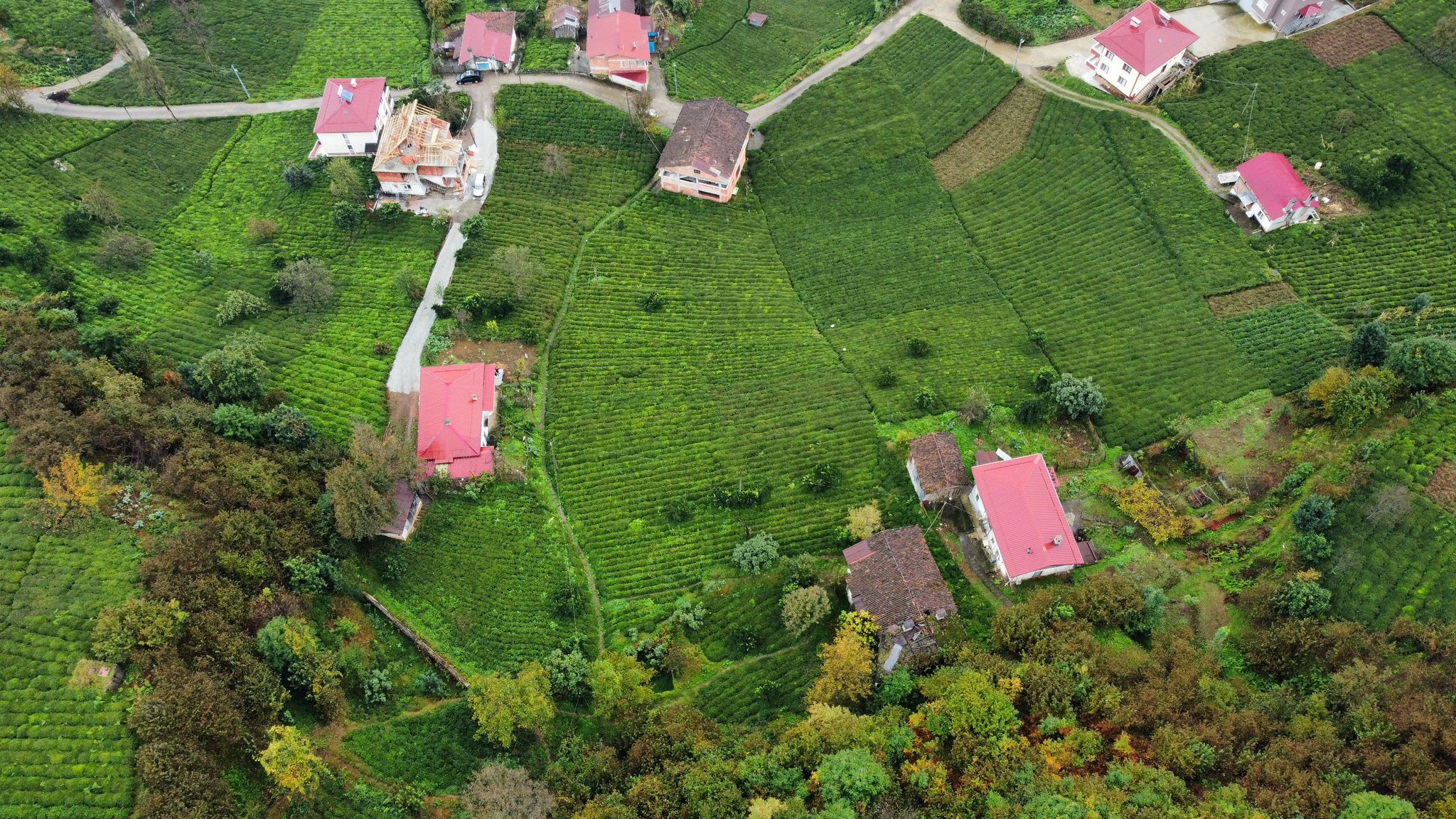 Satılık Trabzon / OF / YAZLIK KÖYÜ