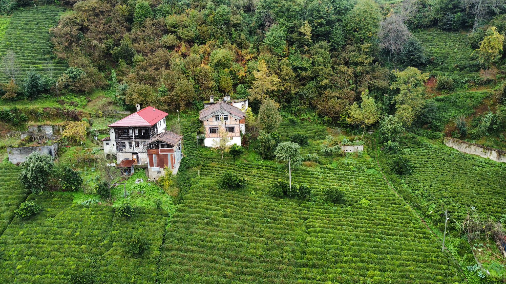 Satılık Trabzon / OF / YAZLIK KÖYÜ