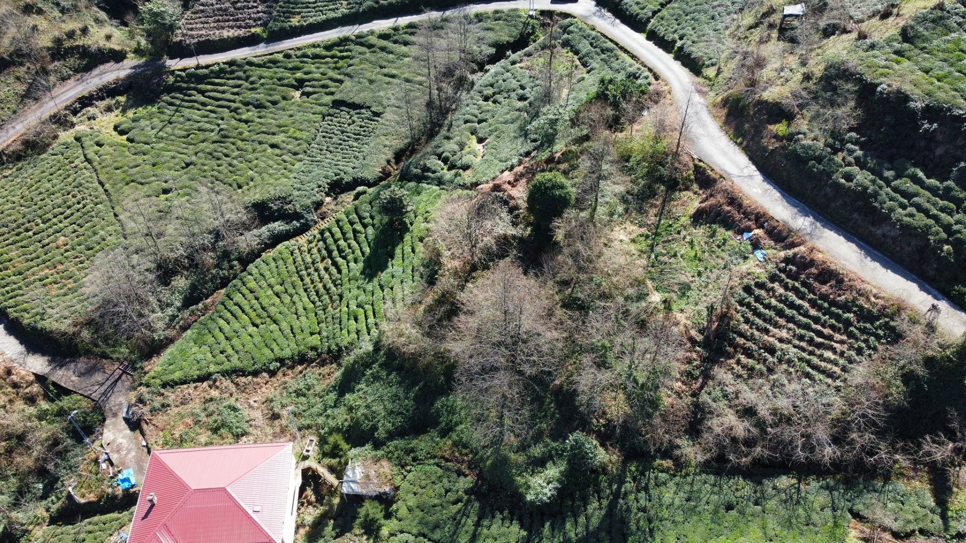Satılık Trabzon / ÇAMBURNU / GÖKÇESU