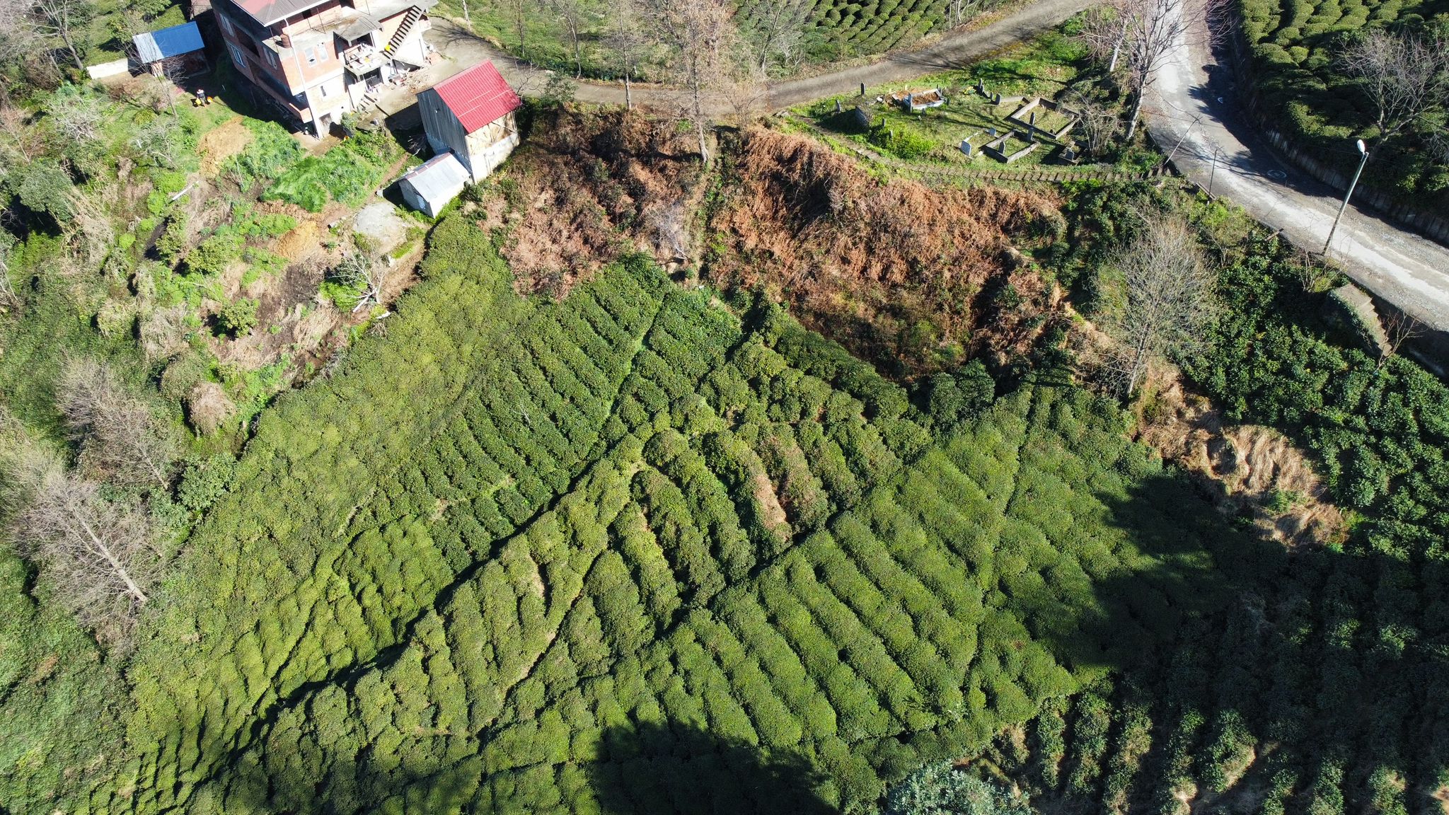 Satılık Trabzon / SÜRMENE / ÇAMBURNU / KUŞLUCA