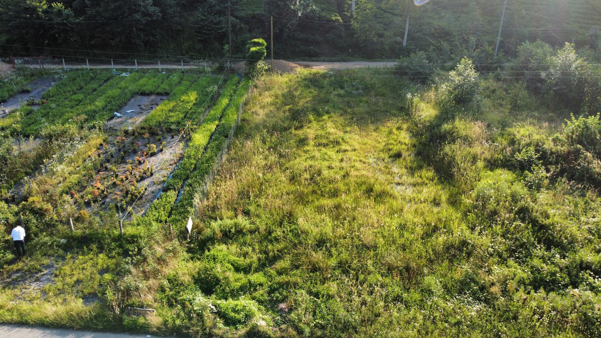 Satılık Trabzon / OF