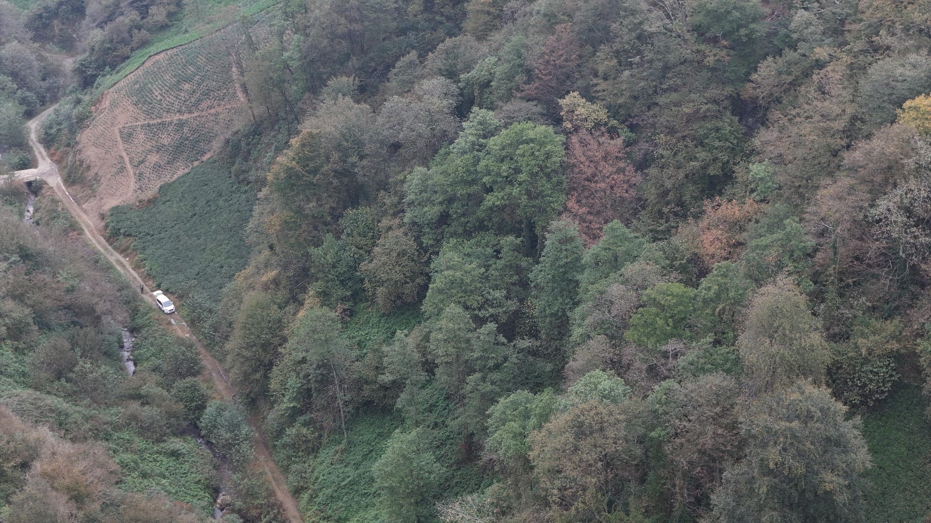 Satılık Trabzon / OF / İRFANLI MAHALLESİ