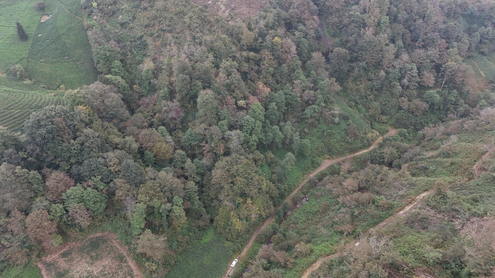 Satılık Trabzon / OF / İRFANLI MAHALLESİ