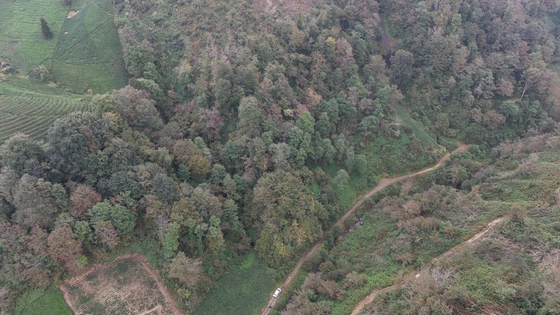 Satılık Trabzon / OF / İRFANLI MAHALLESİ