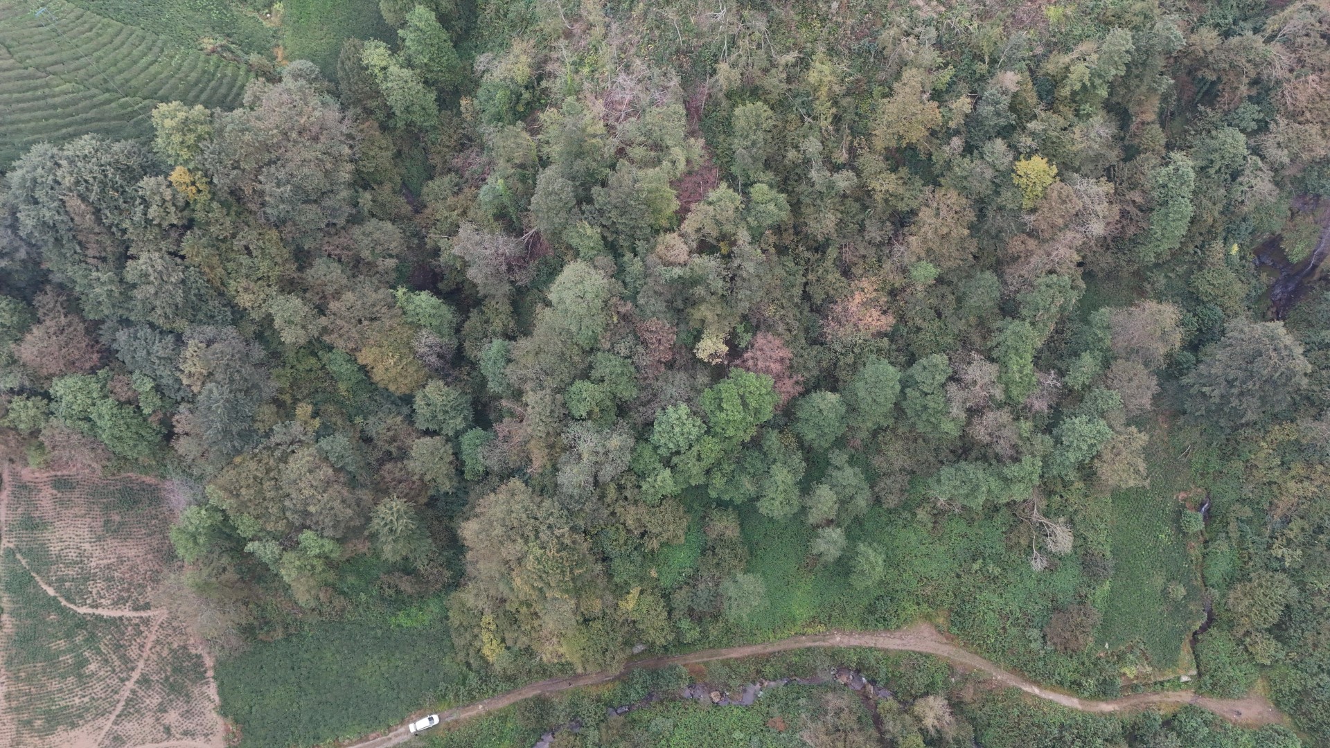 Satılık Trabzon / OF / İRFANLI MAHALLESİ