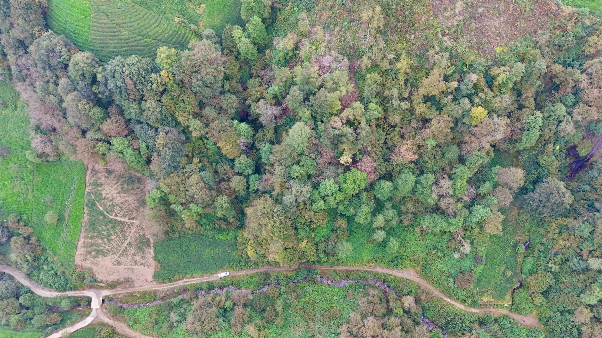 Satılık Trabzon / OF / İRFANLI MAHALLESİ