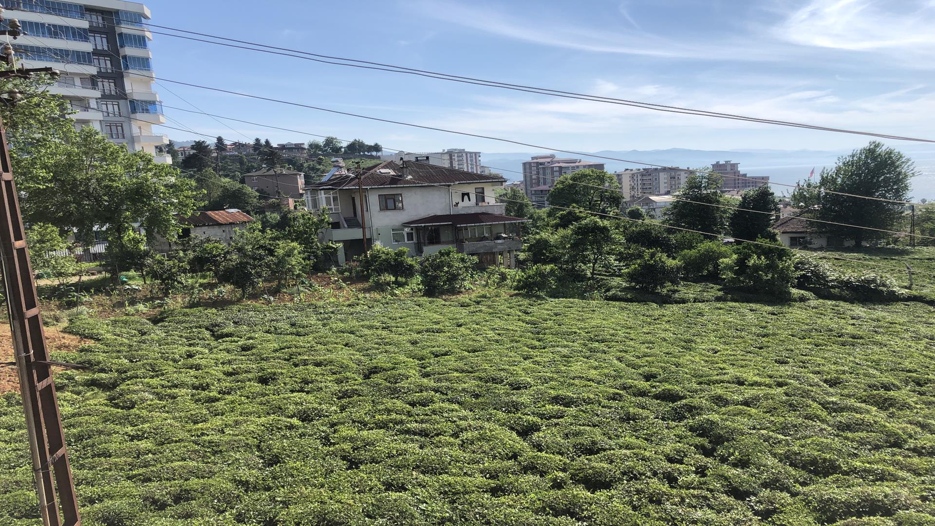 Satılık Daire, Trabzon / OF / CUMHURİYET MAHALLESİ