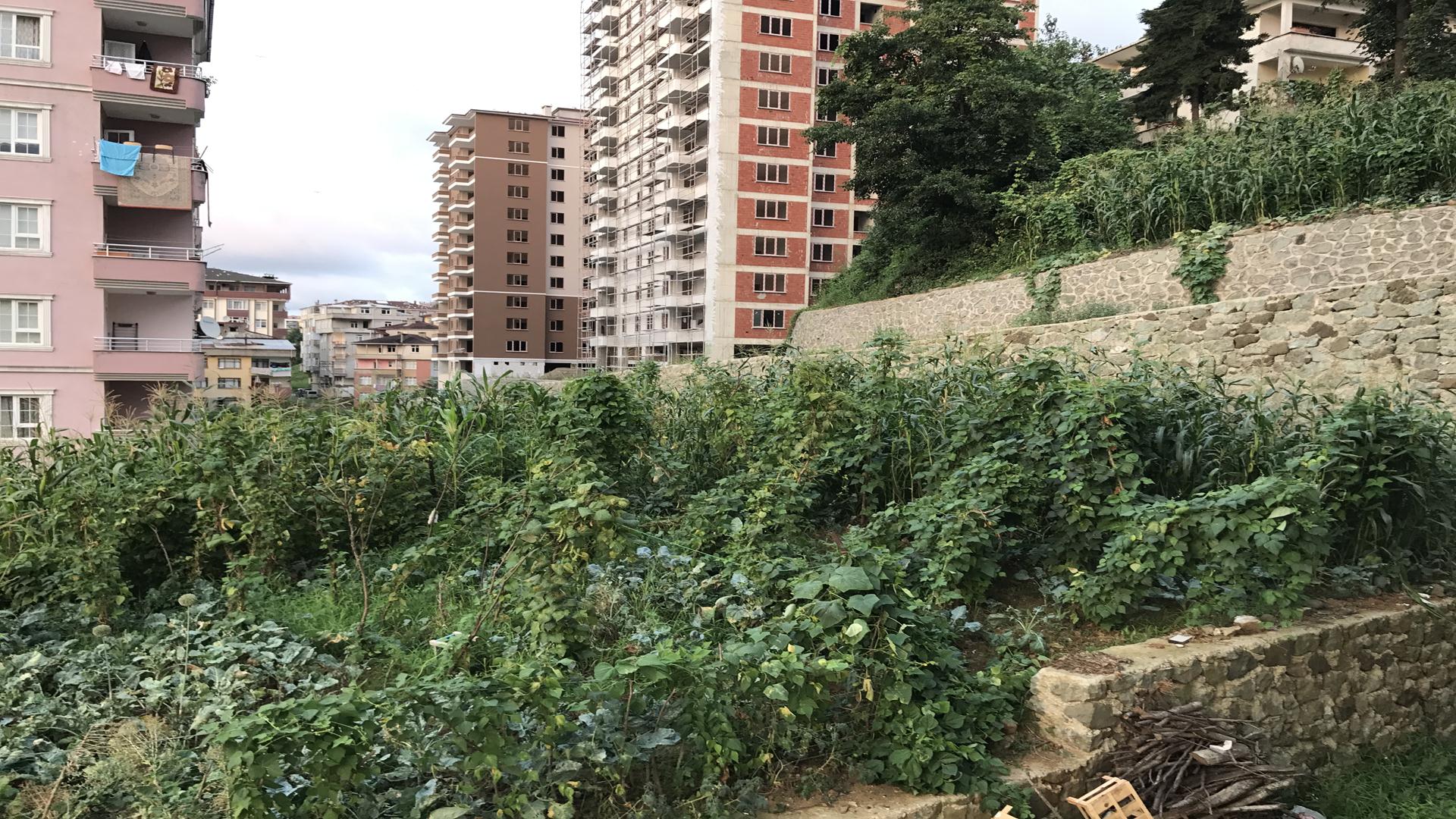 Kiralık Daire, Trabzon / OF / SULAKLI MAH.