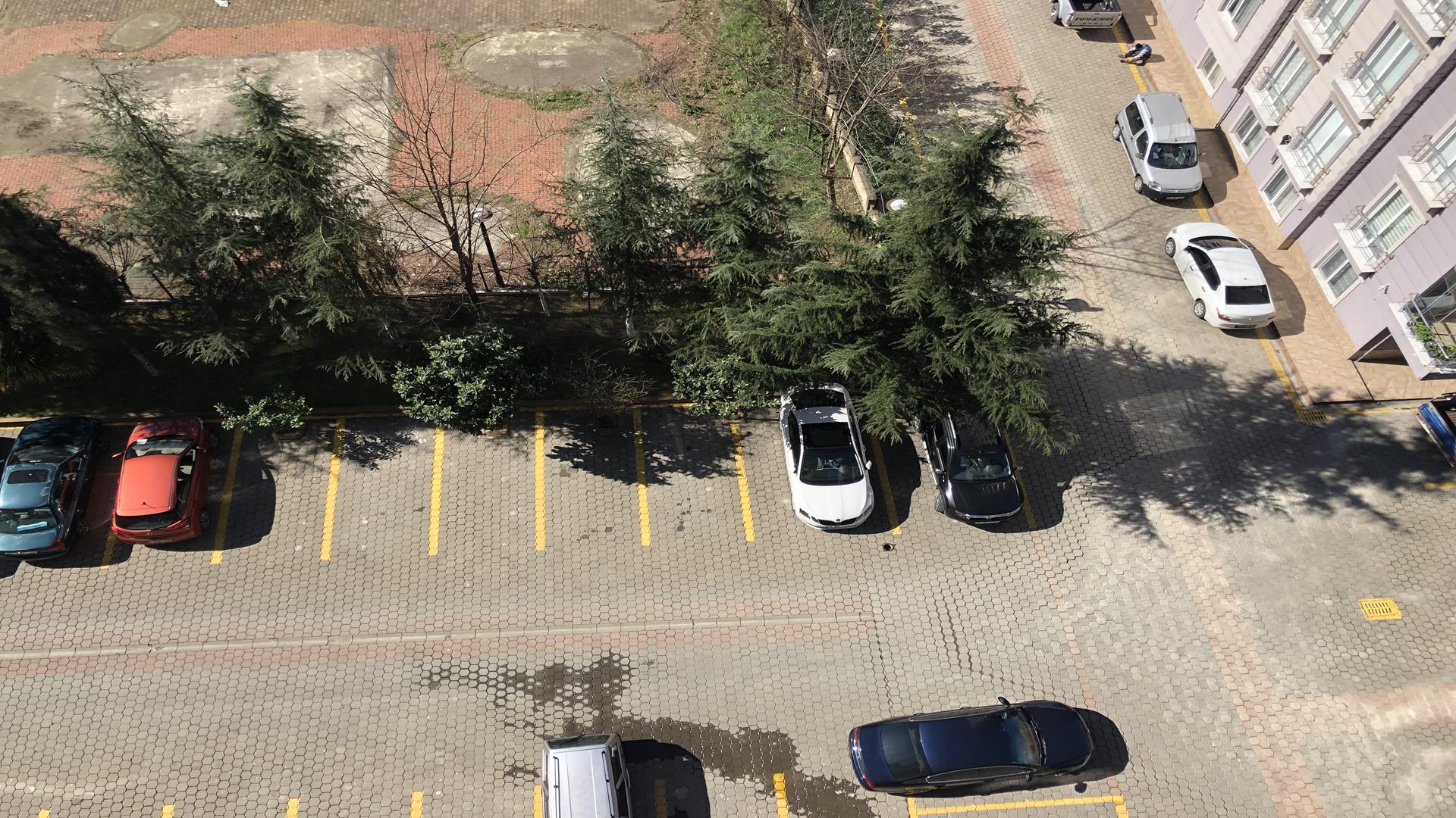 Satılık Daire, Trabzon / MERKEZ / İRFANLI MAH.