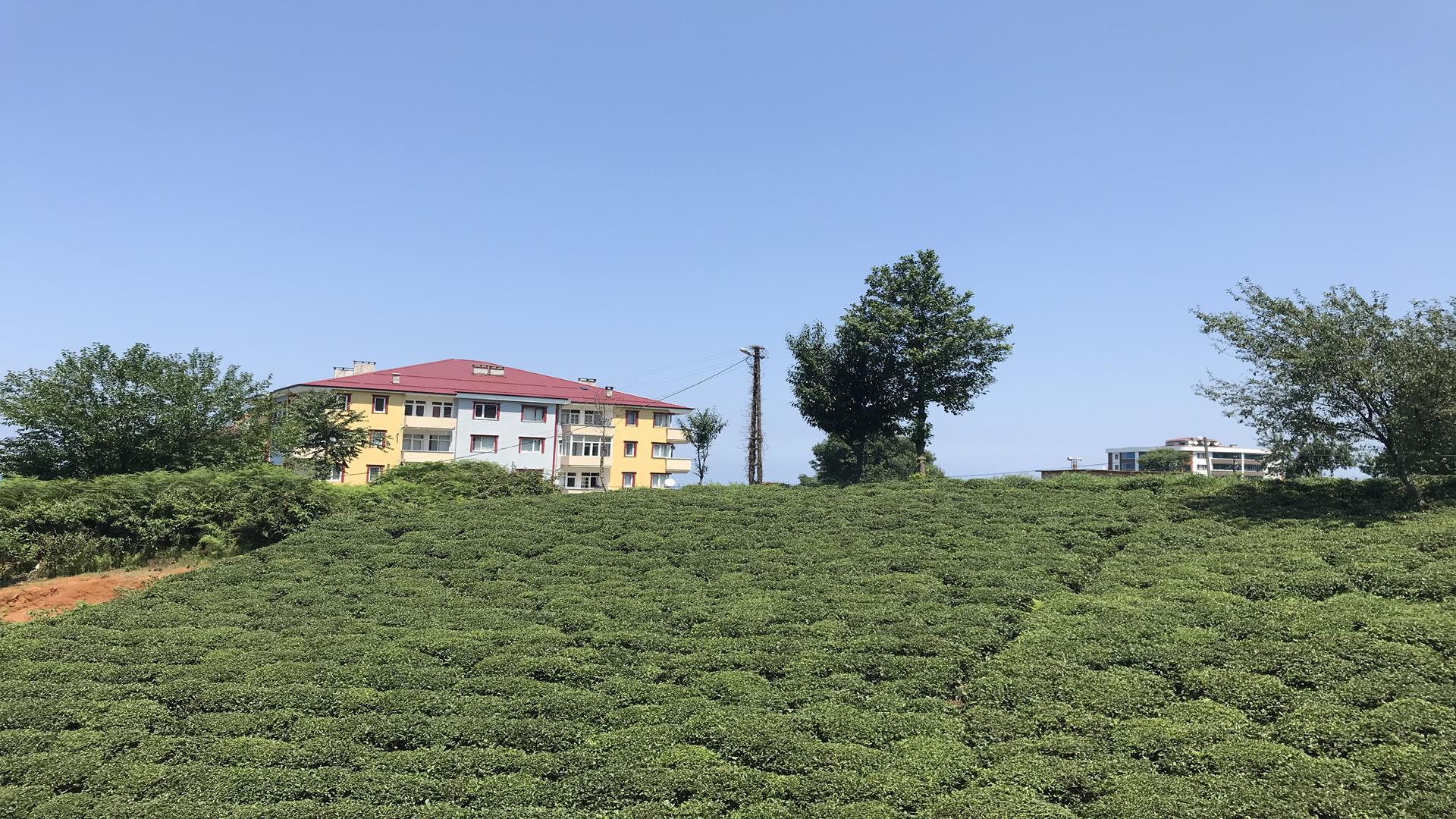 Kiralık Daire, Trabzon / OF / CUMHURİYET MAH.