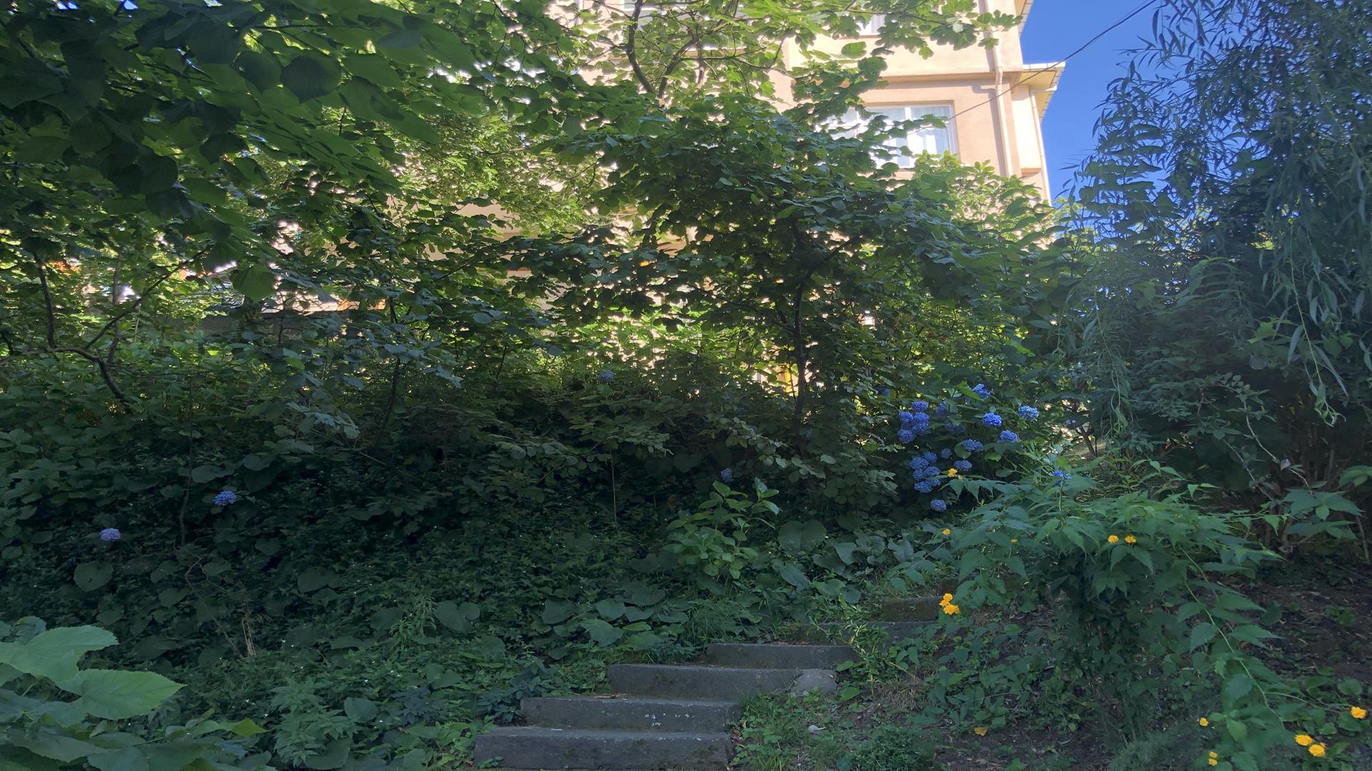 Kiralık Daire, Trabzon / OF / CUMHURİYET MAH.