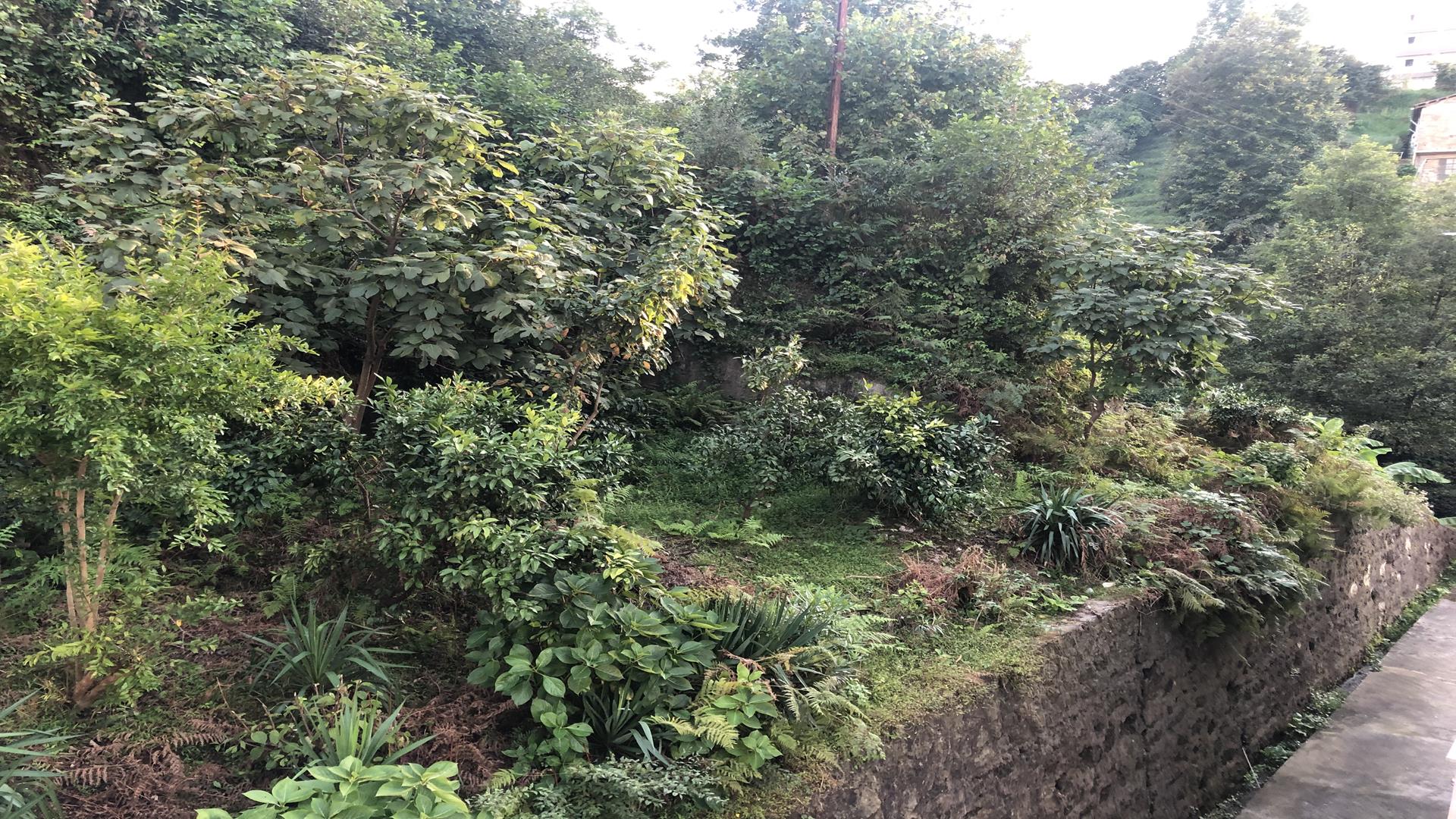 Satılık Daire, Trabzon / SÜRMENE / ÇAMBURNU