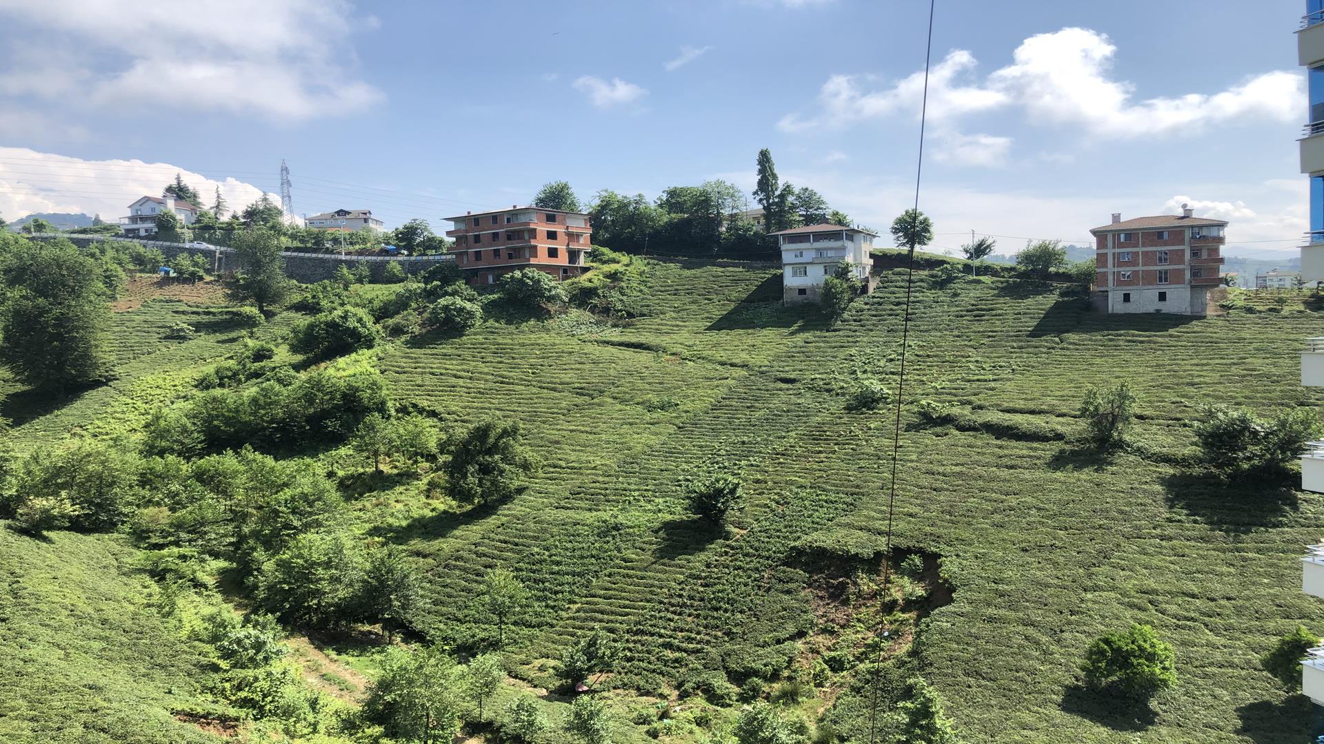Kiralık Daire, Trabzon / OF / CUMHURİYET MAH.