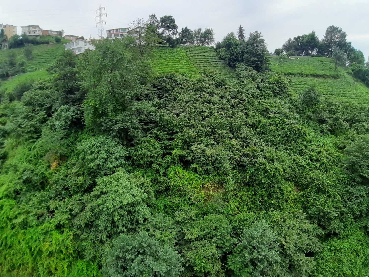 Satılık Daire, Trabzon / OF / İRFANLI MAH.