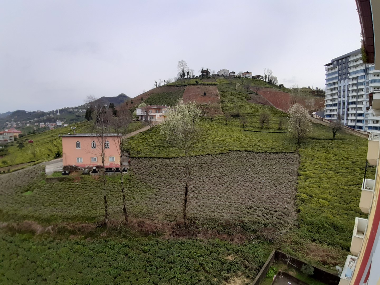 Kiralık Daire, Trabzon / OF / CUMHURİYET MAH.