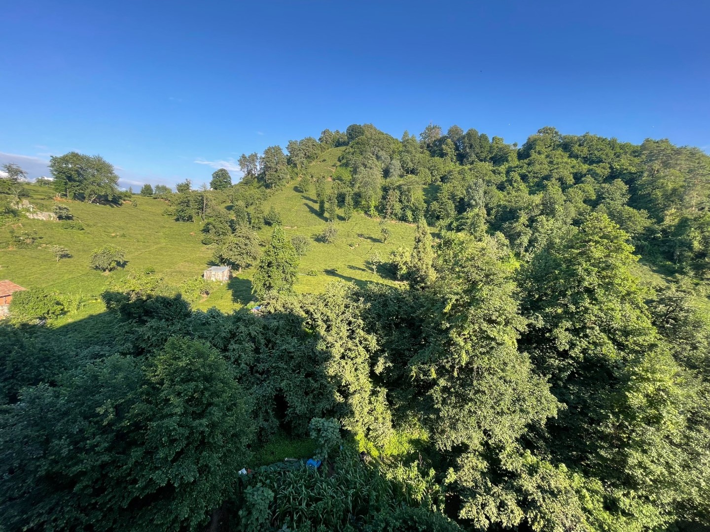 Satılık Daire, Trabzon / OF / İRFANLI MAH.