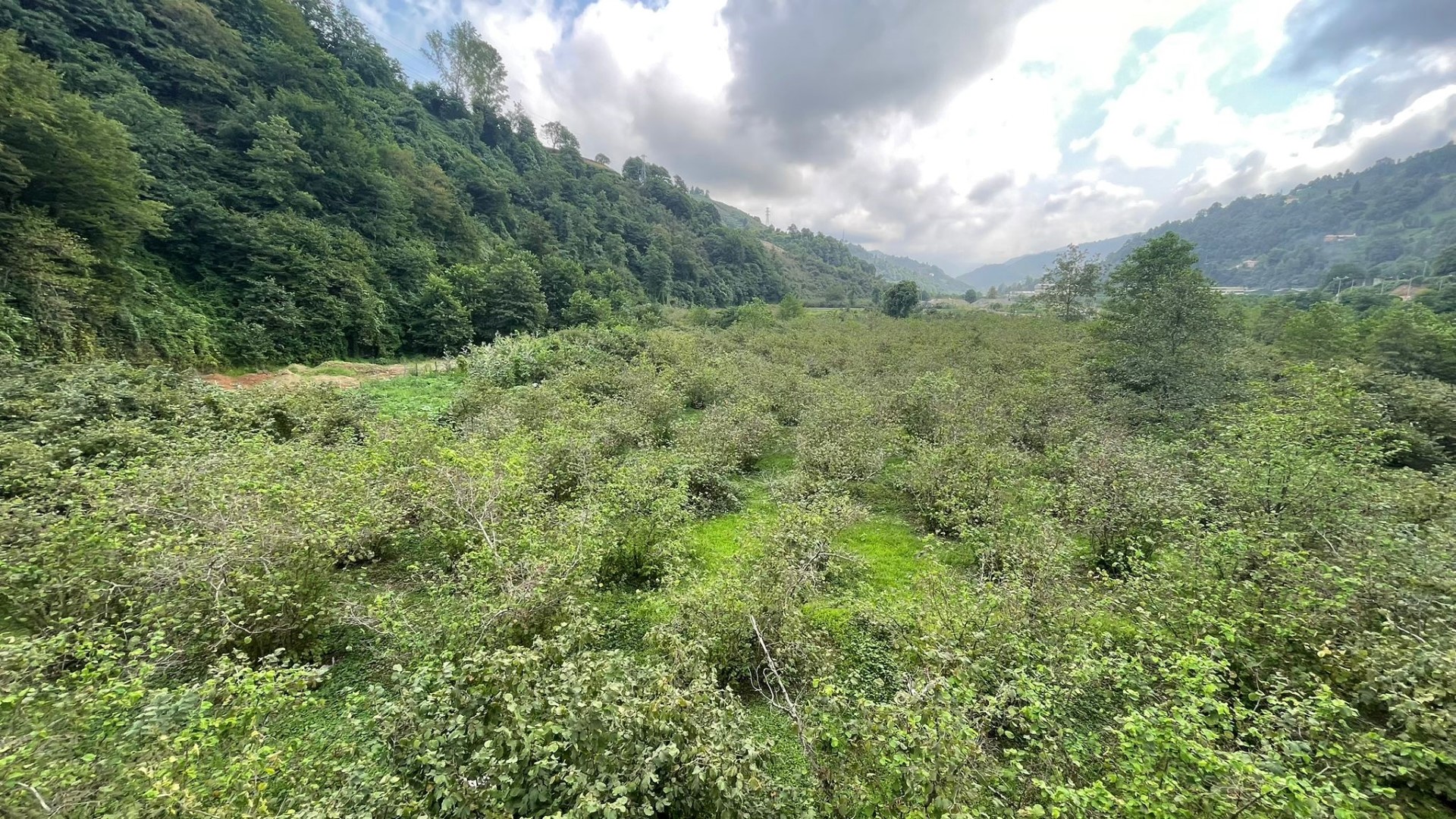 Kiralık Daire, Trabzon / OF / SULAKLI MAHALLESİ