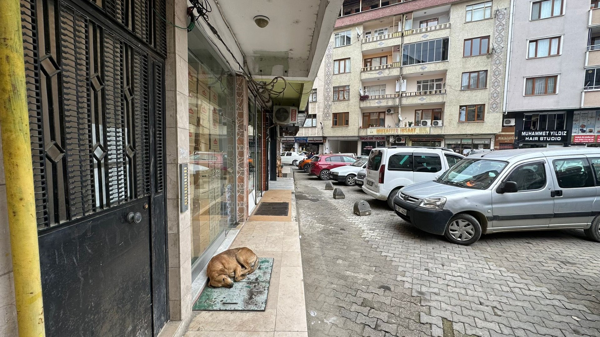 Kiralık Daire, Trabzon / OF / SULAKLI MAH.