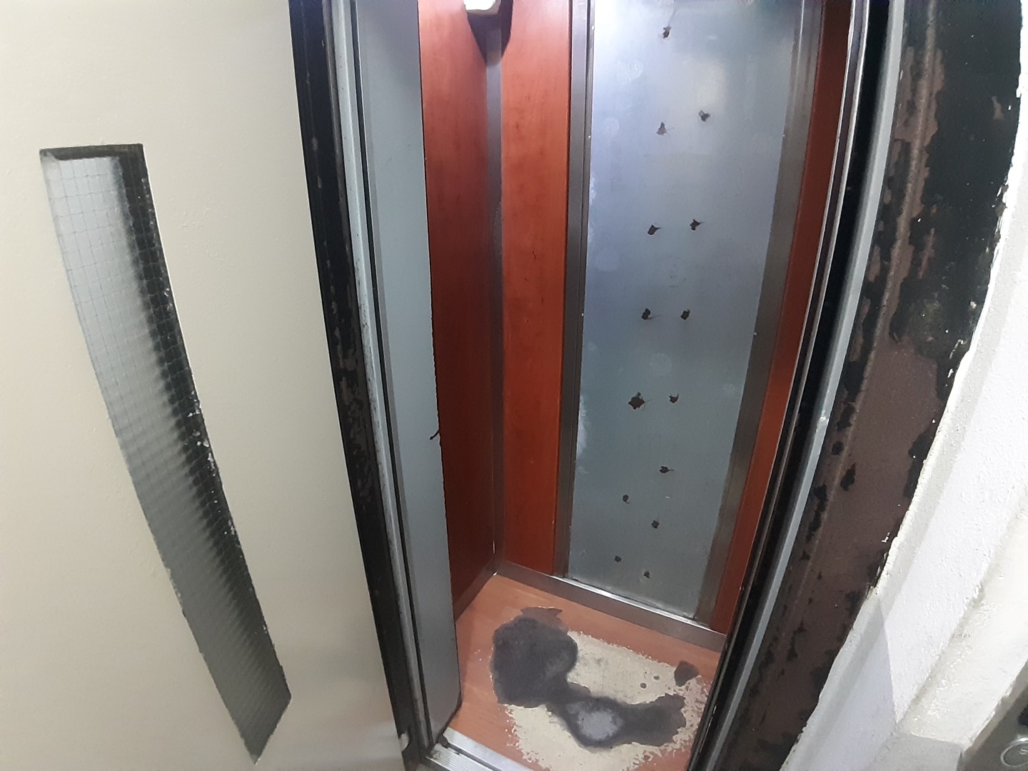 Kiralık Daire, Trabzon / OF / İRFANLI MAHALLESİ