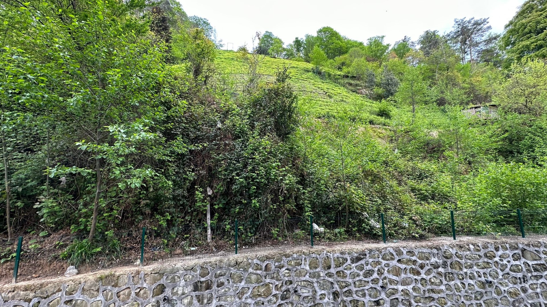 Satılık Daire, Trabzon / OF / İRFANLI MAHALLESİ