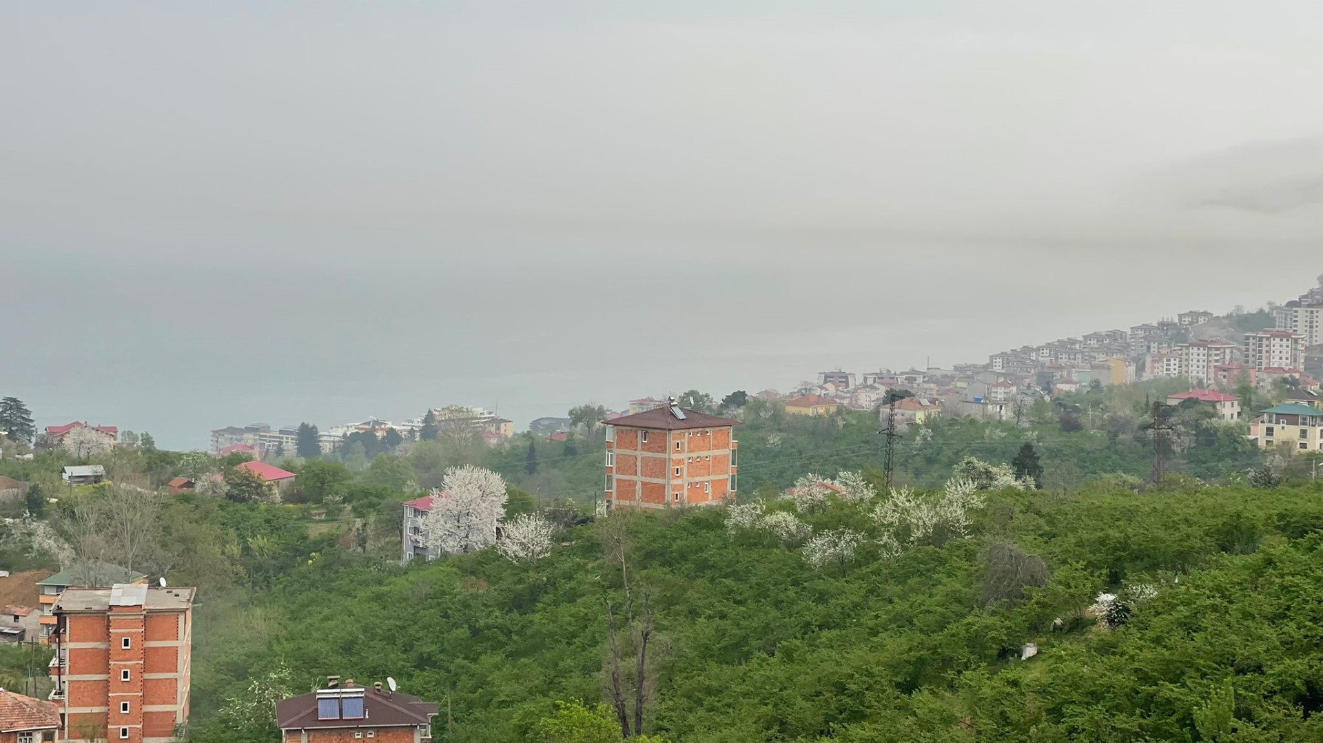 Kiralık Daire, Trabzon / ORTAHİSAR / PELİTLİ MAHALLESİ