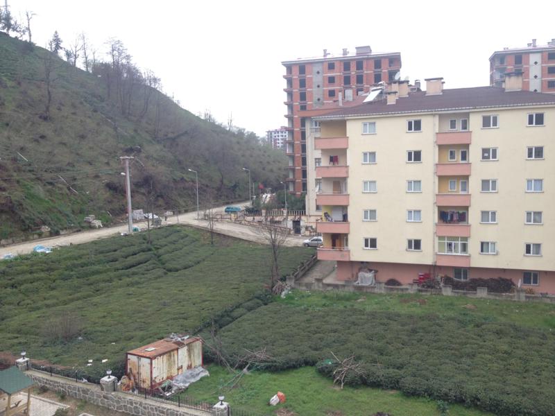 Satılık Daire, Trabzon / OF / İRFANLI MAH.