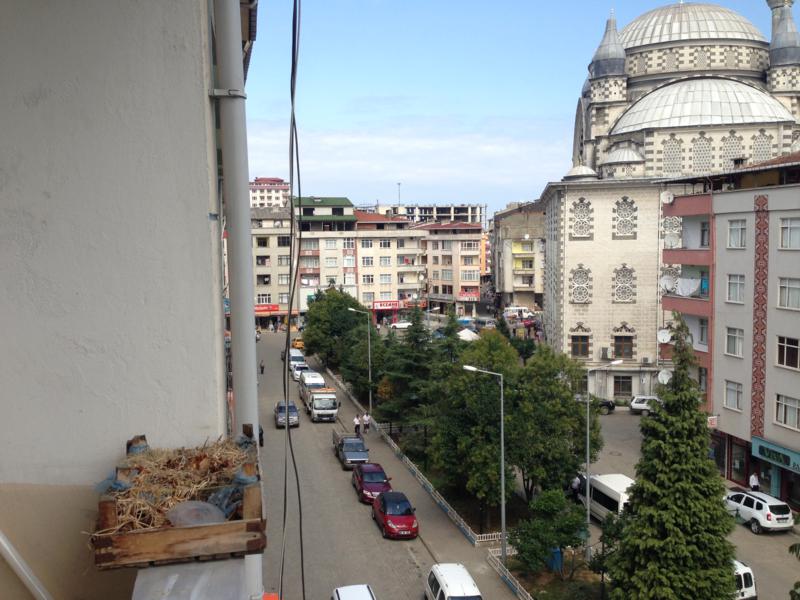 Kiralık Daire, Trabzon / MERKEZ / SOLAKLI MAH.