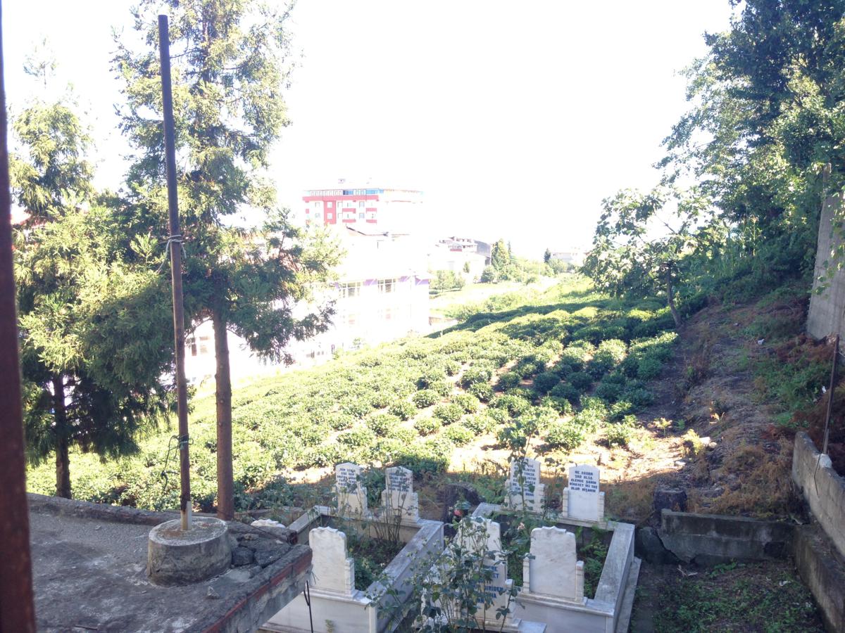 Kiralık Müstakil, Trabzon / MERKEZ / SOLAKLI MAH.
