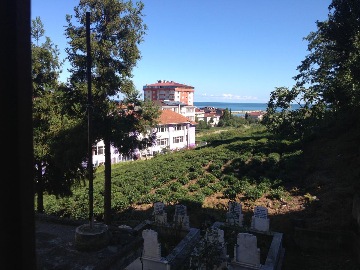 Kiralık Müstakil, Trabzon / MERKEZ / SOLAKLI MAH.