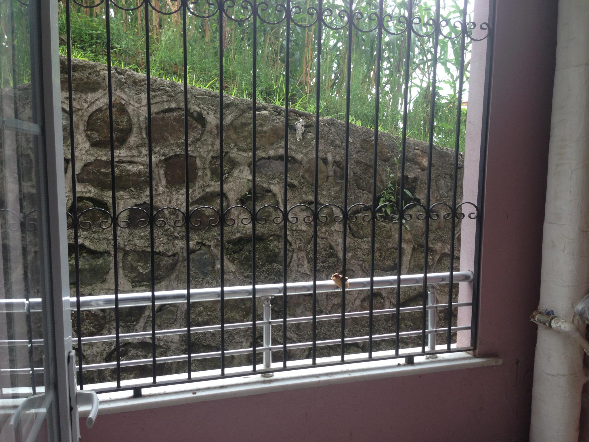 Kiralık Daire, Trabzon / MERKEZ / SOLAKLI MAH.